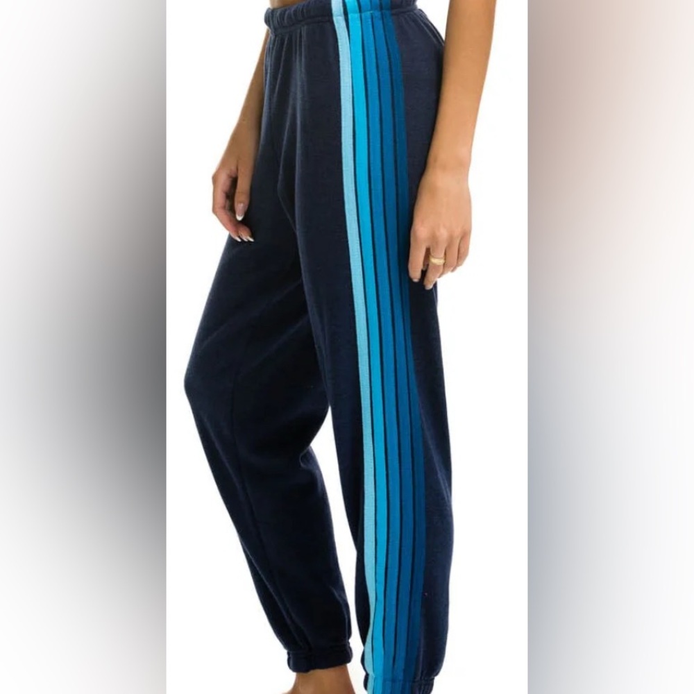 Aviator Nation Navy and Blue Striped Pants